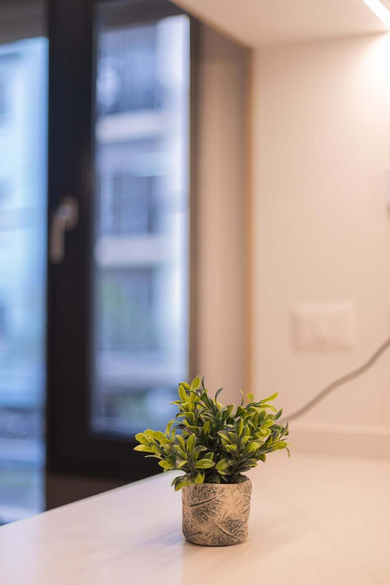 Apartamento Tu Refugio En Acogedor Con Cocina Santiago